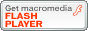 Descarga Flash